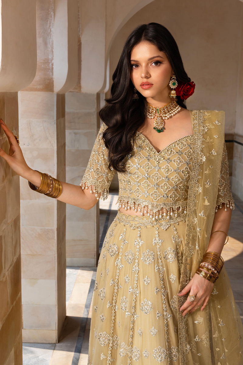 Zaiena | Rang Rasiya | Chiffon Formals Unstitched Collection 2026