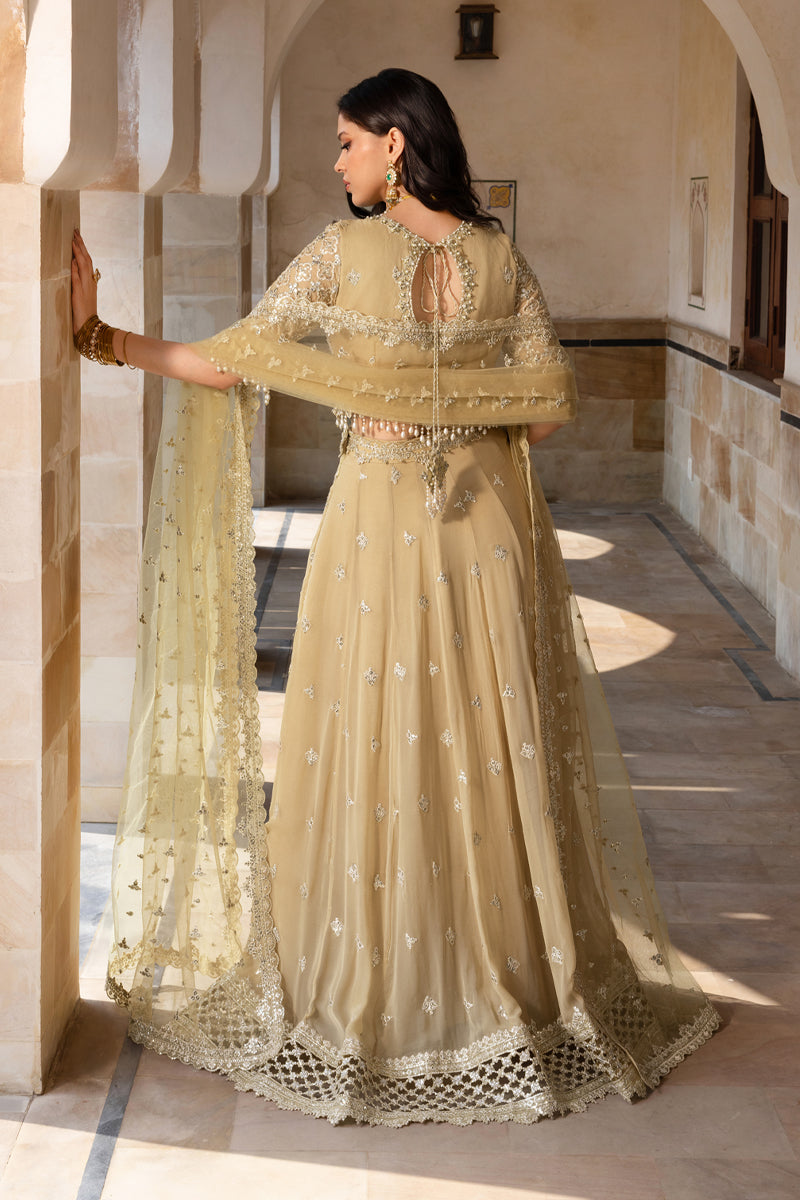 Ziana Rabab Rayan Collection Zaiena | Rang Rasiya | Chiffon Formals Unstitched Collection 2026 ...