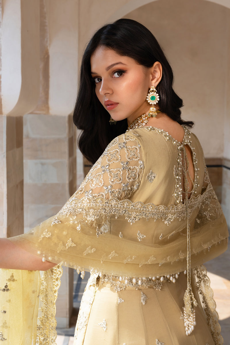 Zaiena | Rang Rasiya | Chiffon Formals Unstitched Collection 2026