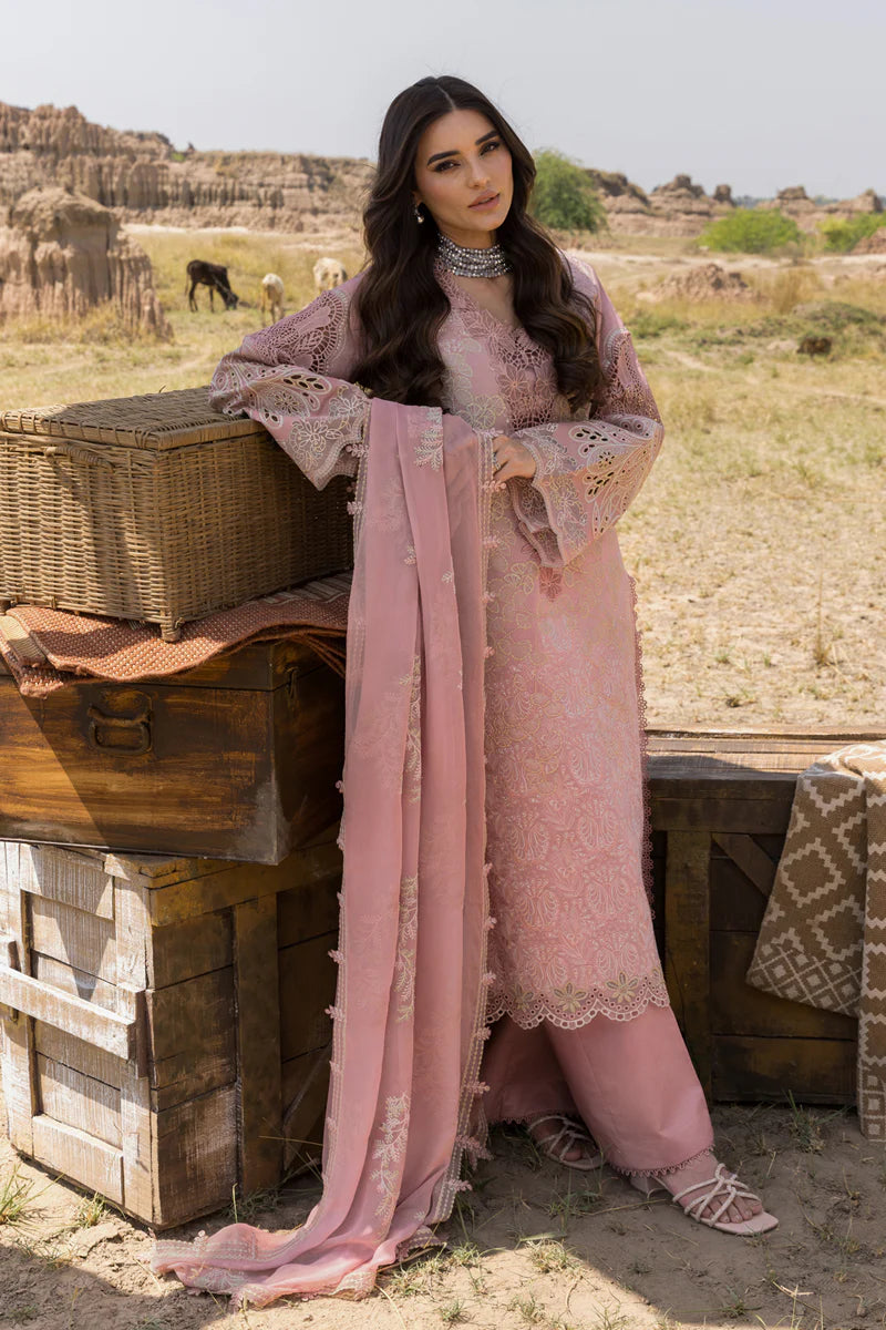 Aysel | Rang Rasiya | Premium Eid Collection 2025