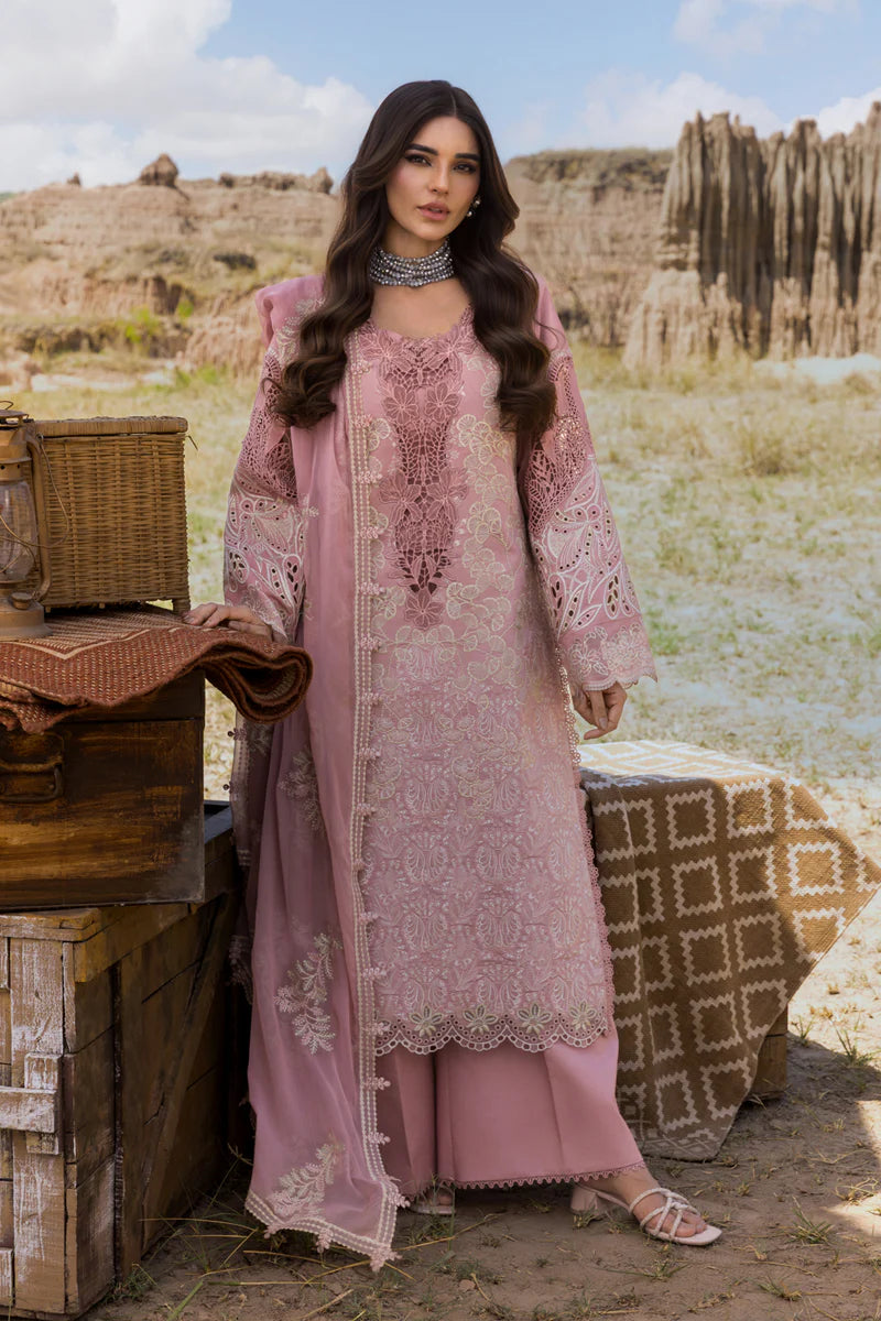 Aysel | Rang Rasiya | Premium Eid Collection 2025
