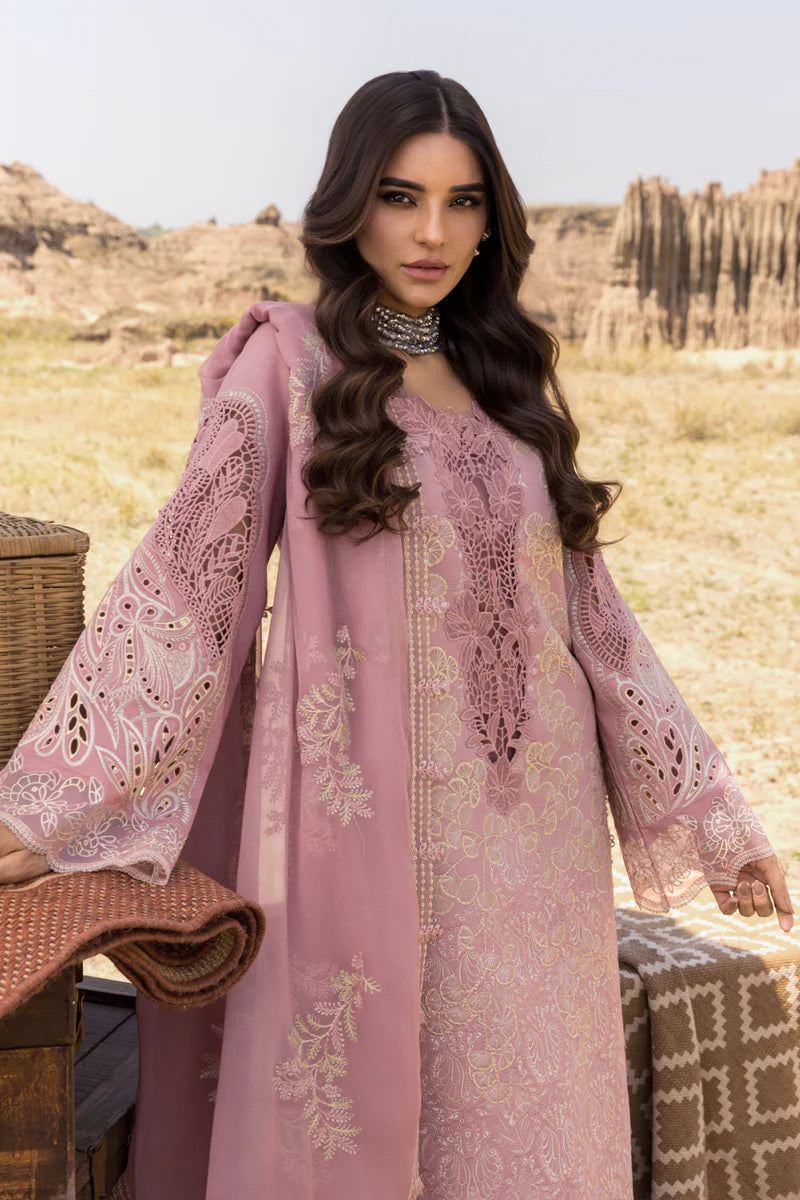 Aysel | Rang Rasiya | Premium Eid Collection 2025