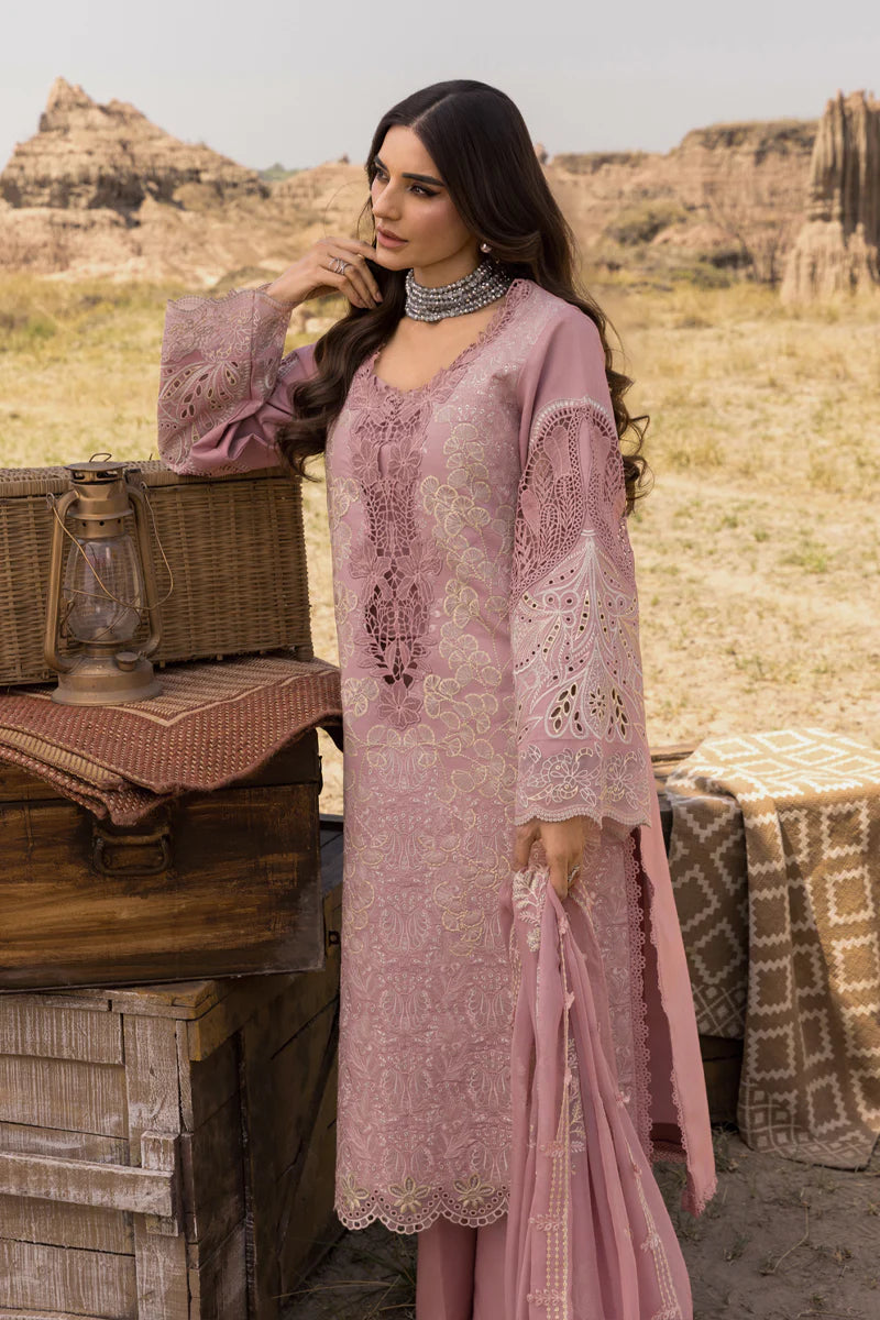 Aysel | Rang Rasiya | Premium Eid Collection 2025