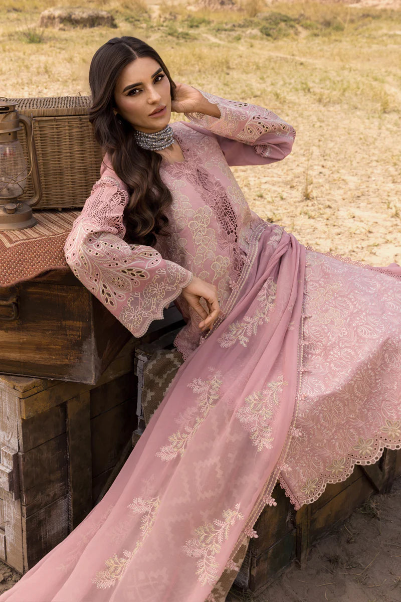 Aysel | Rang Rasiya | Premium Eid Collection 2025