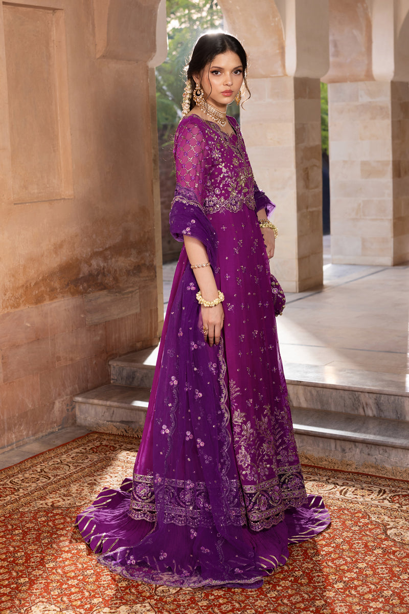 Aaliyah | Rang Rasiya | Chiffon Formals Unstitched Collection 2026