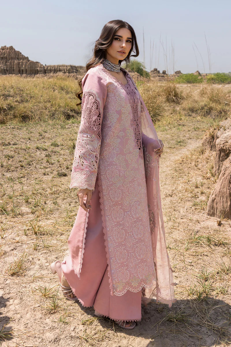 Aysel | Rang Rasiya | Premium Eid Collection 2025
