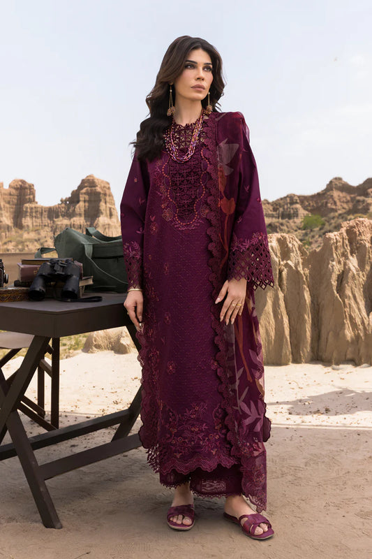 Amyra | Rang Rasiya | Premium Eid Collection 2025