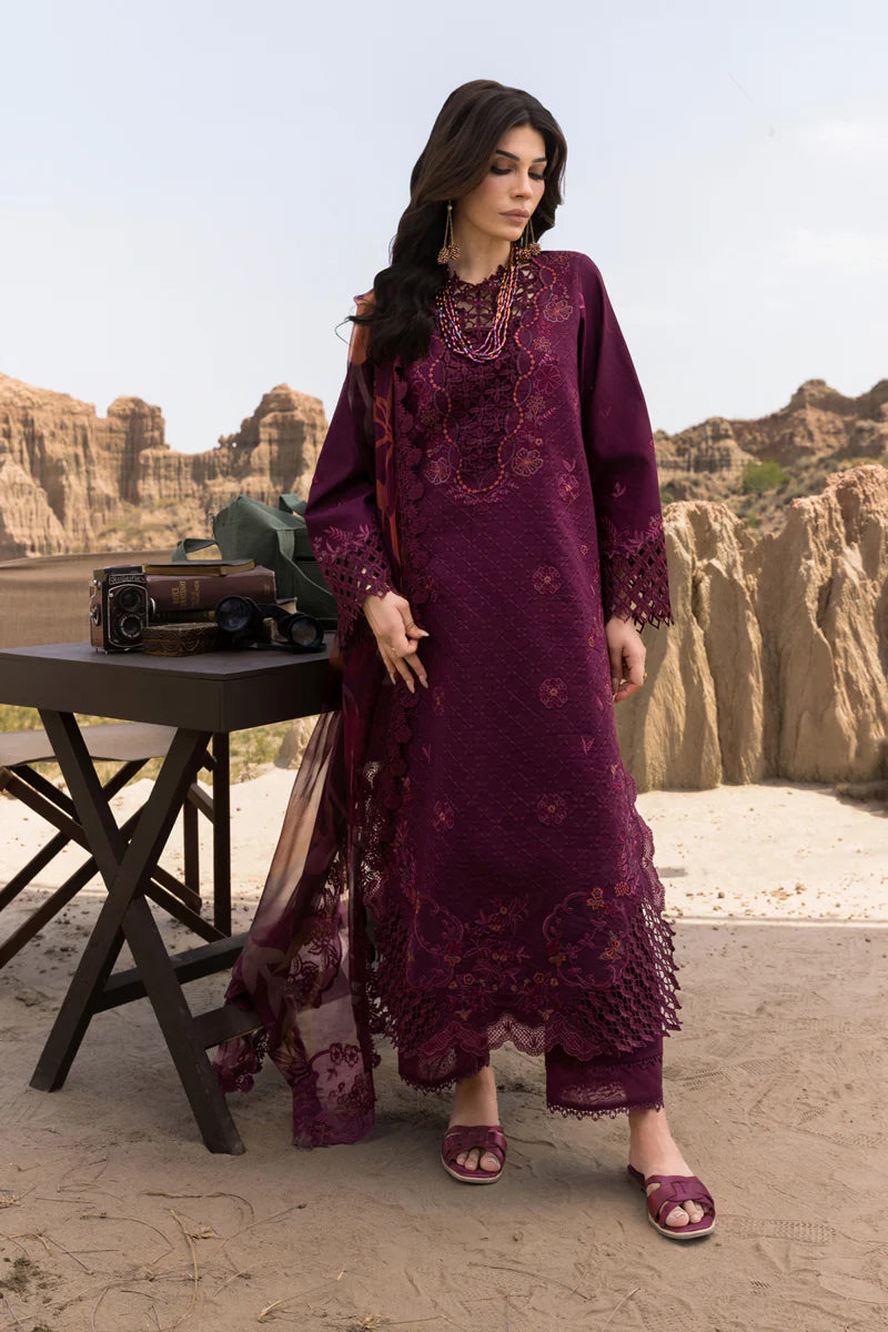 Amyra | Rang Rasiya | Premium Eid Collection 2025