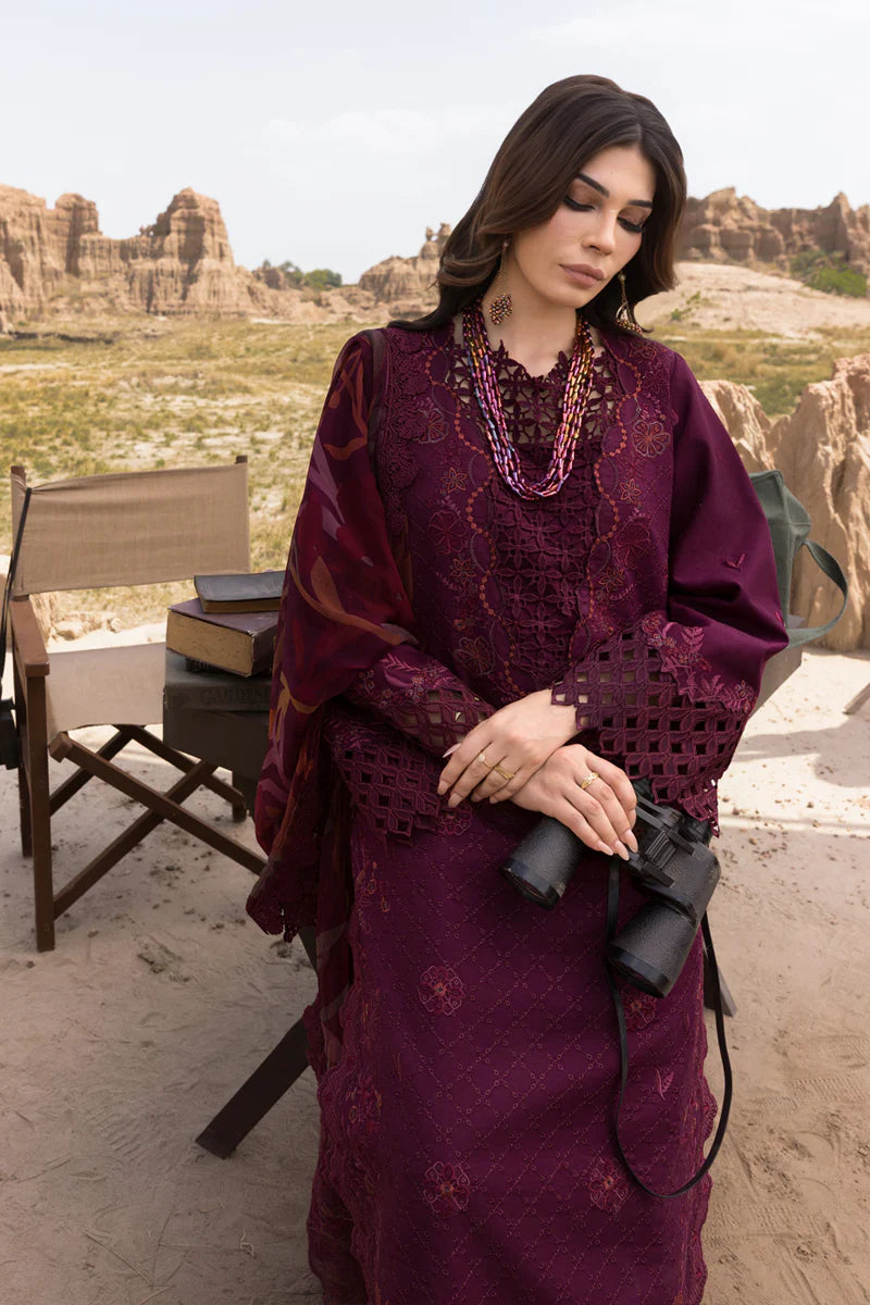 Amyra | Rang Rasiya | Premium Eid Collection 2025