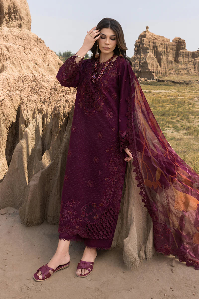 Amyra | Rang Rasiya | Premium Eid Collection 2025