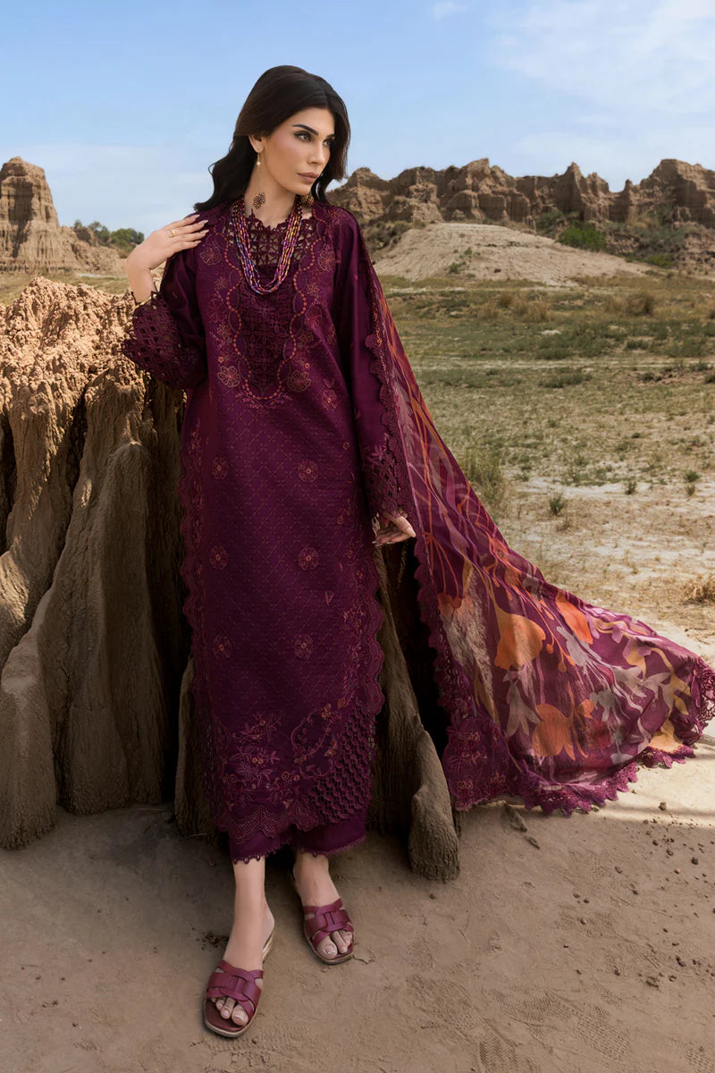 Amyra | Rang Rasiya | Premium Eid Collection 2025