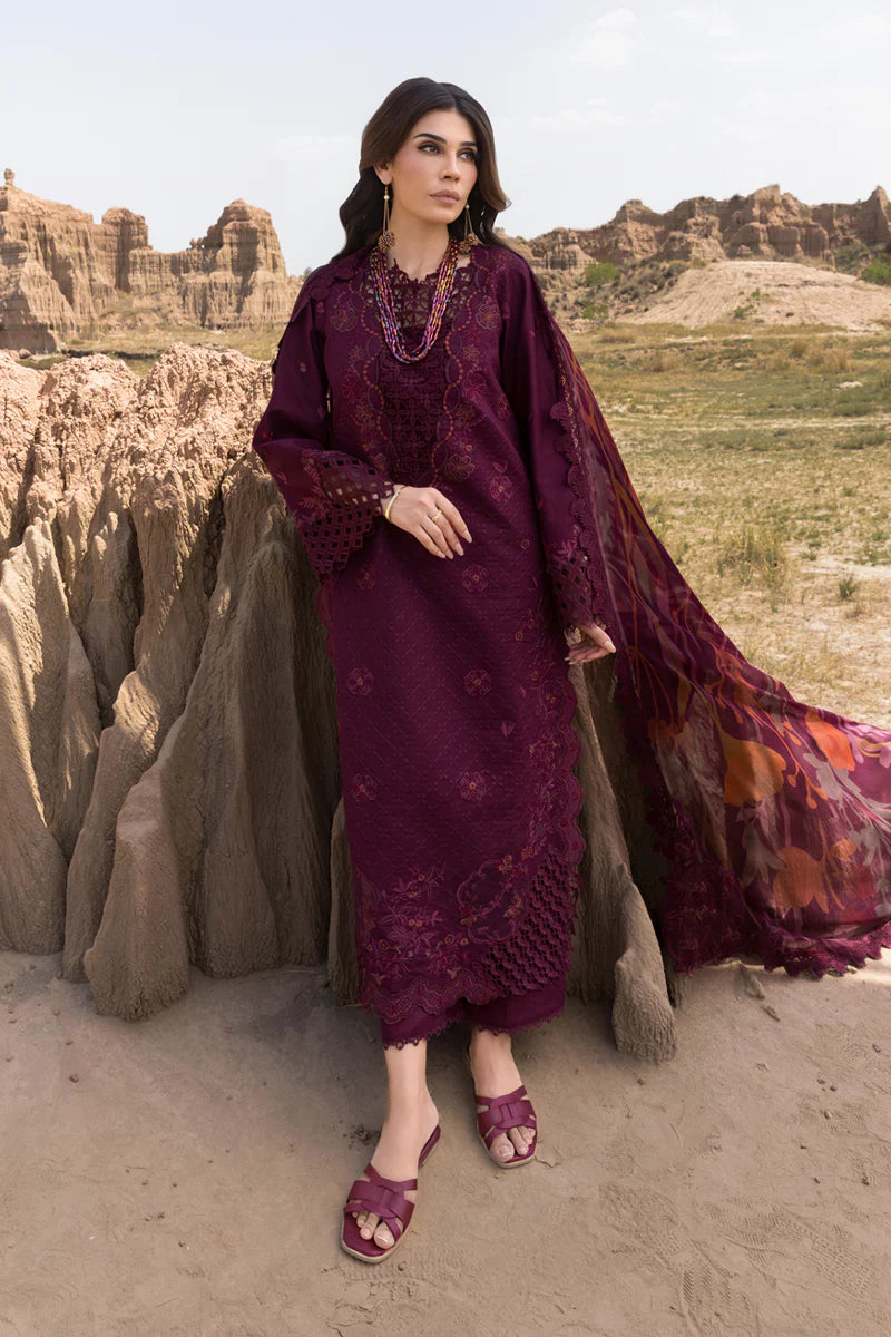 Amyra | Rang Rasiya | Premium Eid Collection 2025
