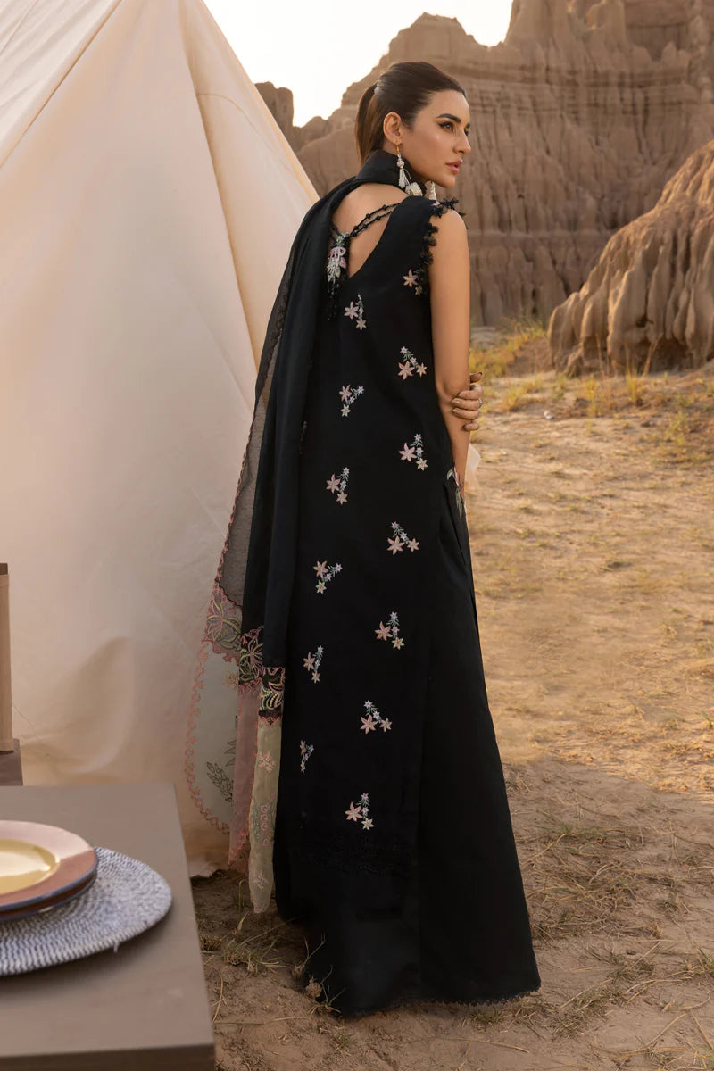 Zoya | Rang Rasiya | Premium Eid Collection 2025