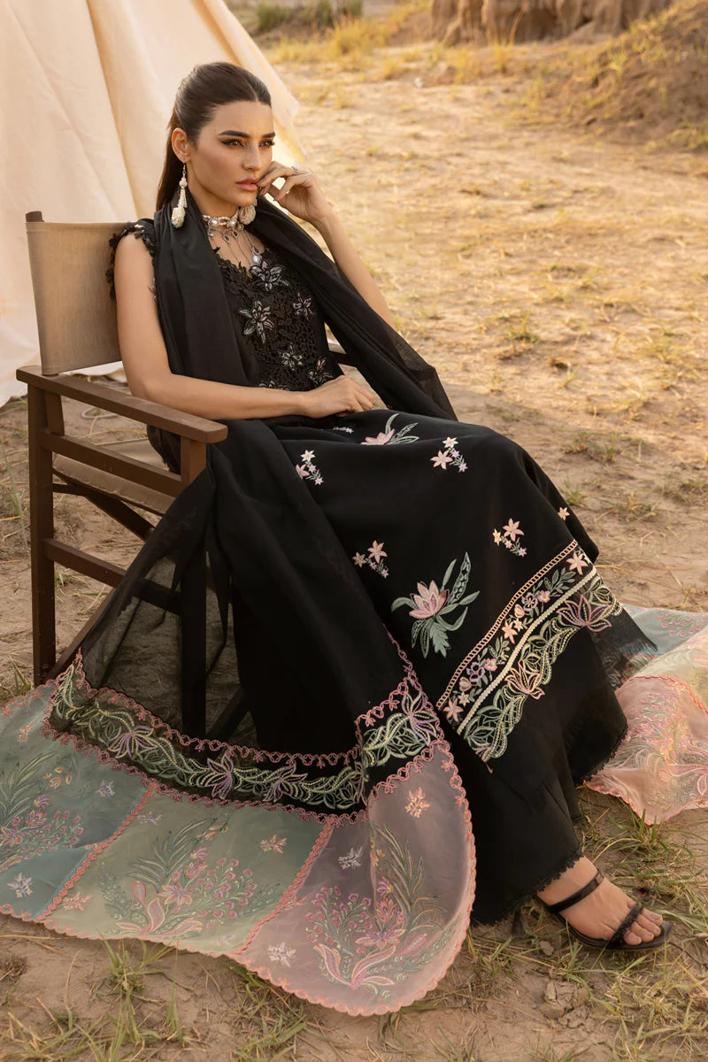 Zoya | Rang Rasiya | Premium Eid Collection 2025