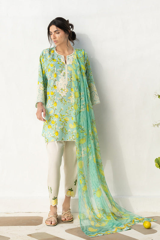 Ambar (A) | Sana Maskatiya | Luxury Lawn Collection Unstitched 2026