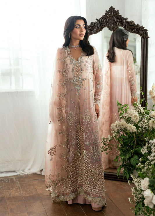 Shehnai | Mushq | Sham Shandaar Chiffon Collection 2025
