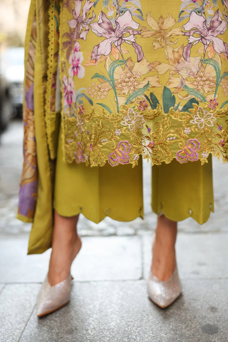 Rang Rasiya Lifestyle Winter Edit | Design Eva | Unstitched Collection 2025