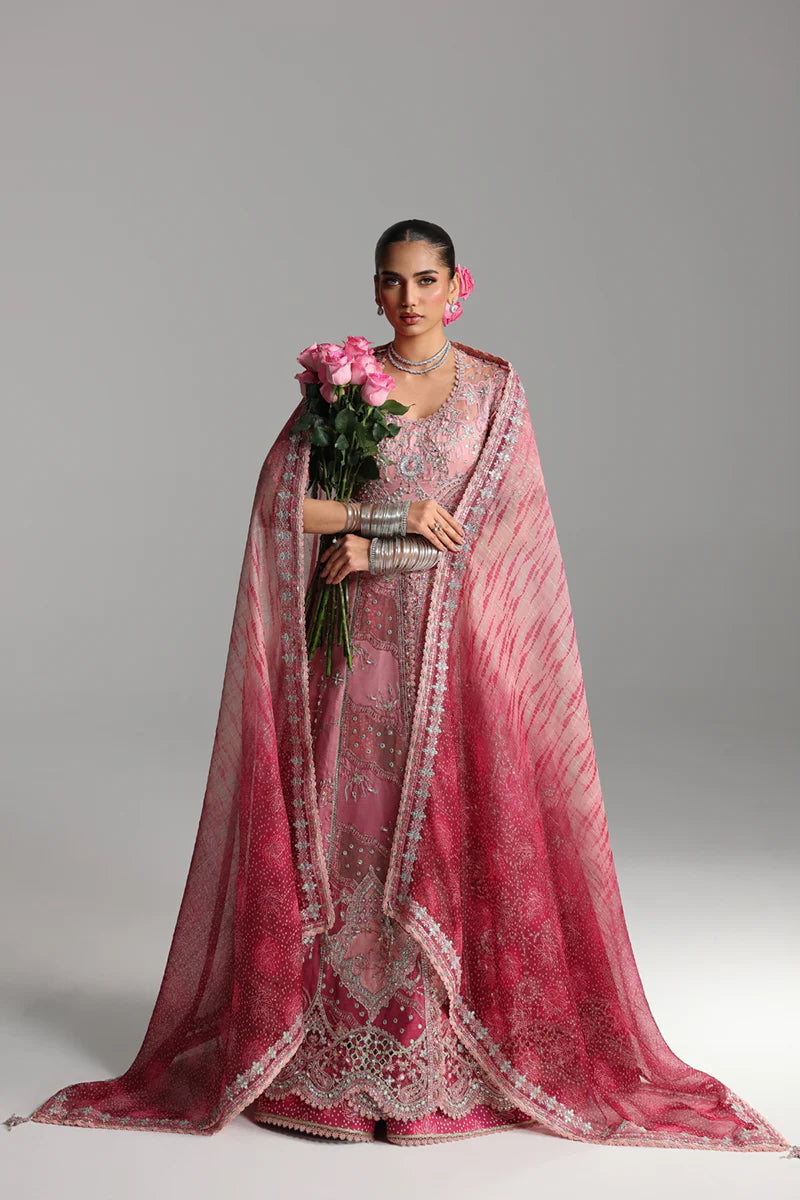 RH - 05 - RAHMAH | Qalamkar |Shadmani Wedding Formals Collection 2025