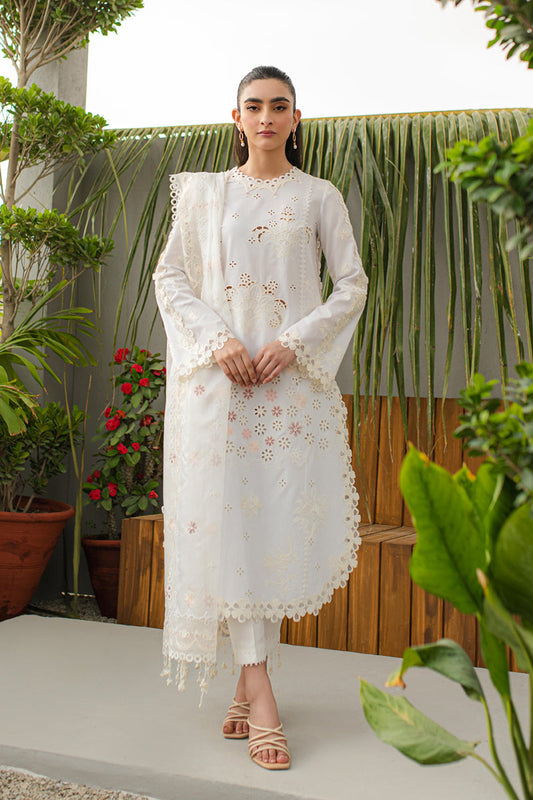 JK-10 ORLA | Qalamkar | Qline Lawn Collection 2024