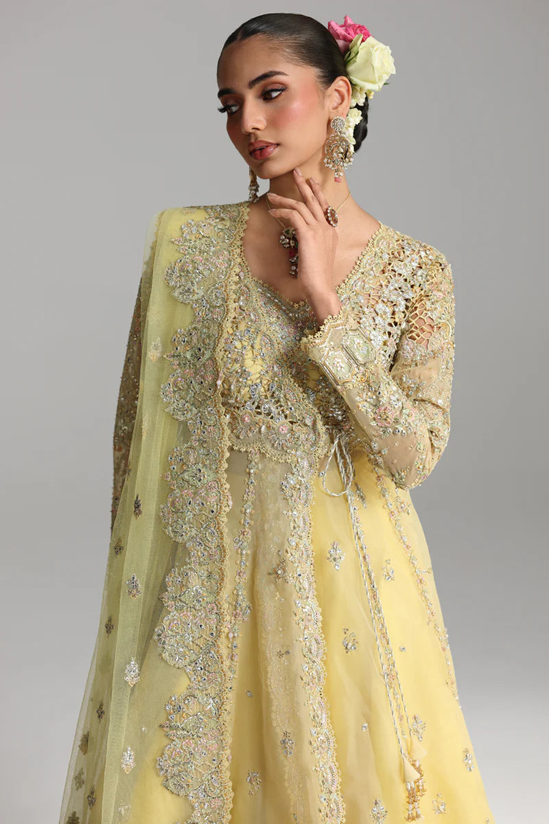 RH - 06 - HOOR | Qalamkar |Shadmani Wedding Formals Collection 2025