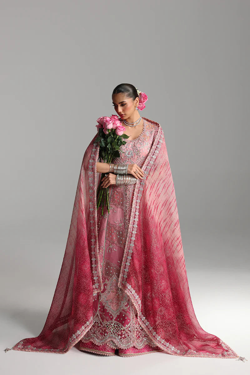 RH - 05 - RAHMAH | Qalamkar |Shadmani Wedding Formals Collection 2025