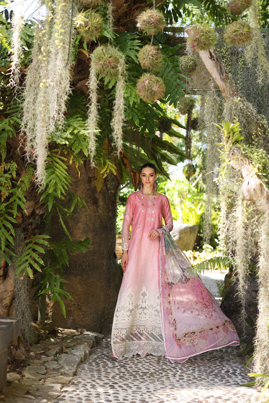 D1-A Pink Ombre | Saadia Asad | Noor Luxury Chikankari Lawn 2024