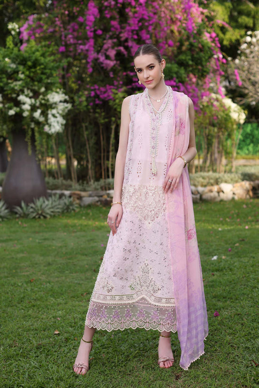 D11-A Pink Schifli | Saadia Asad | Noor Luxury Chikankari Lawn 2024