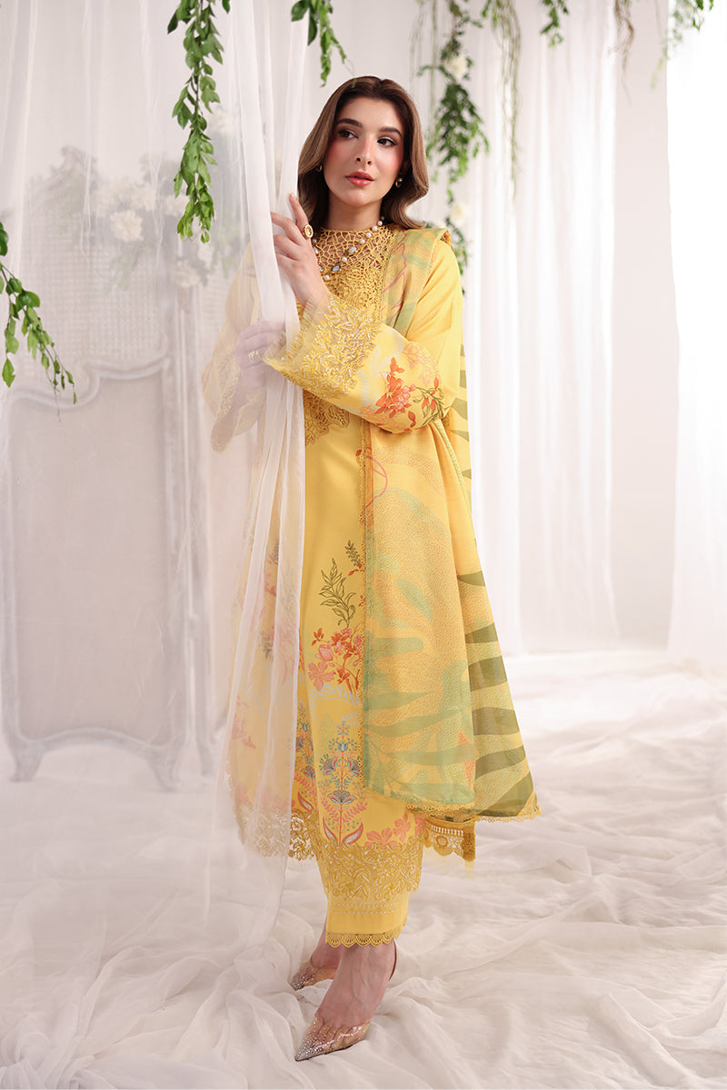Aurora | Rang Rasiya | Nova Summer Embroidered Edit collection 2026