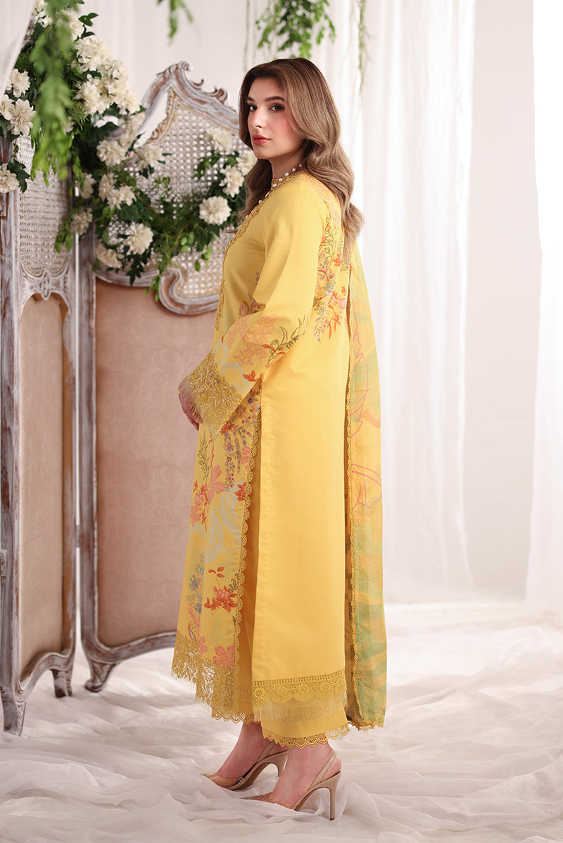 Aurora | Rang Rasiya | Nova Summer Embroidered Edit collection 2026