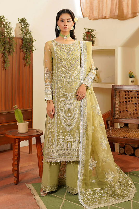 BEENA | Maryams | Hayat Chiffon Collection Vol 1 2024