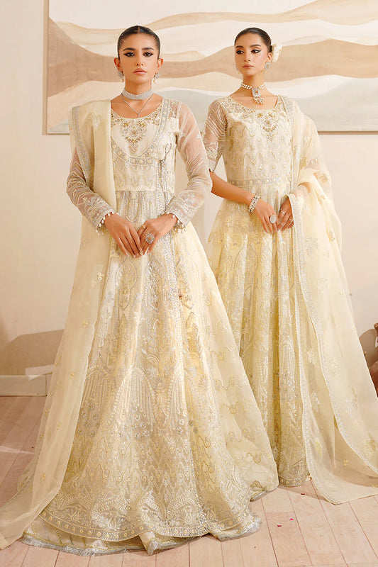 ZIBIA | Maryams | Hayat Chiffon Collection Vol 1 2024