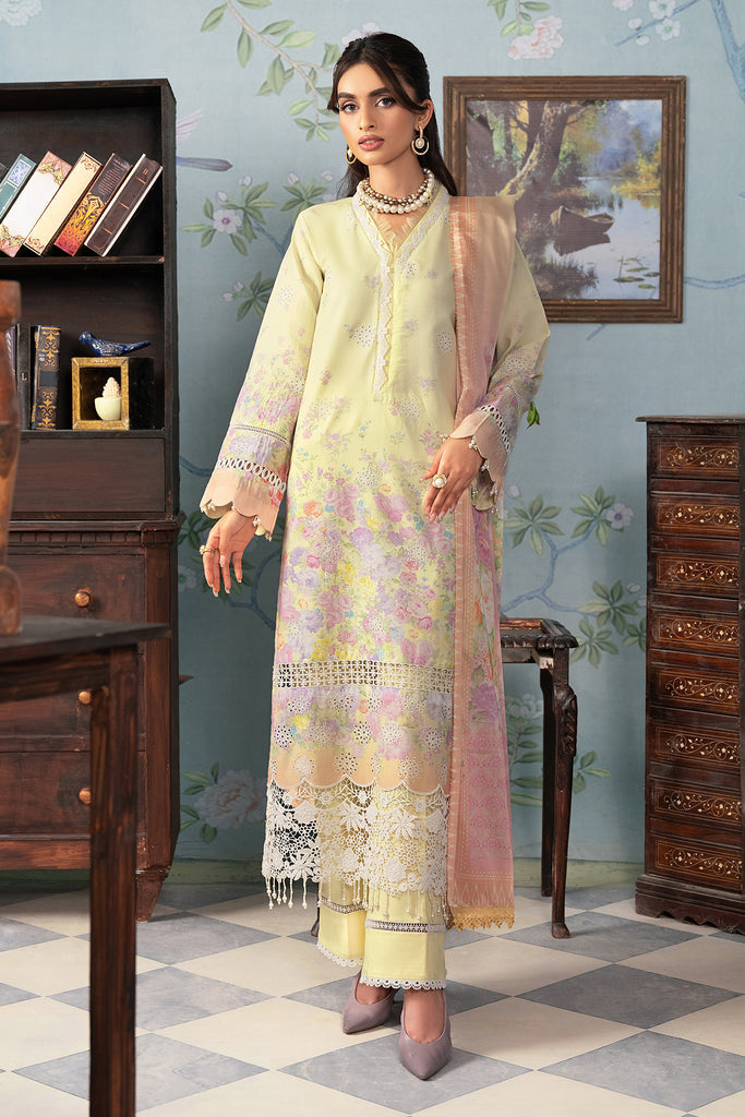 C-01 | Raj Bari | Chikankari Edition 2024