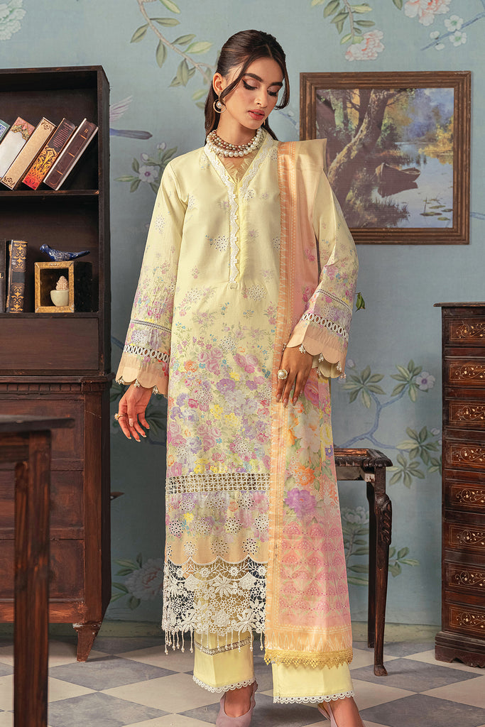 C-01 | Raj Bari | Chikankari Edition 2024