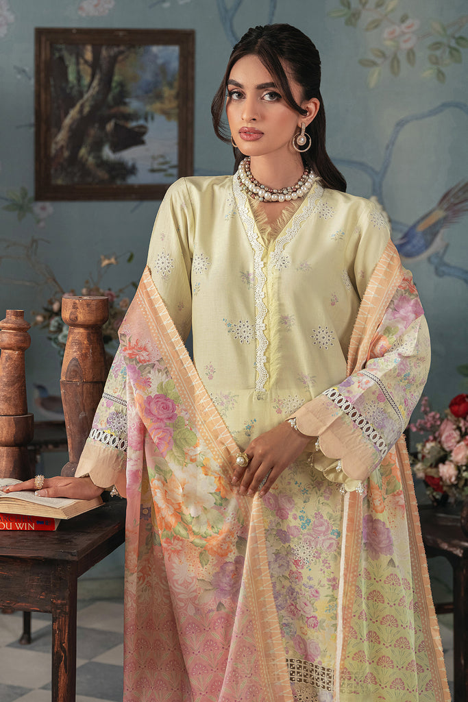 C-01 | Raj Bari | Chikankari Edition 2024