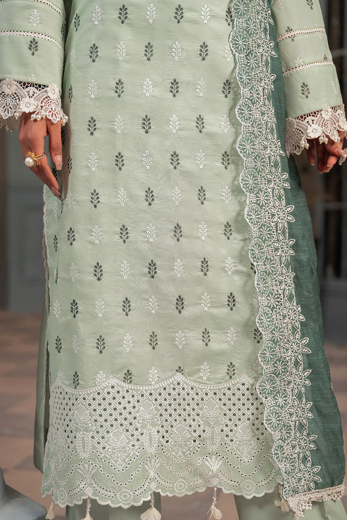 C-13 | Raj Bari | Chikankari Edition 2024