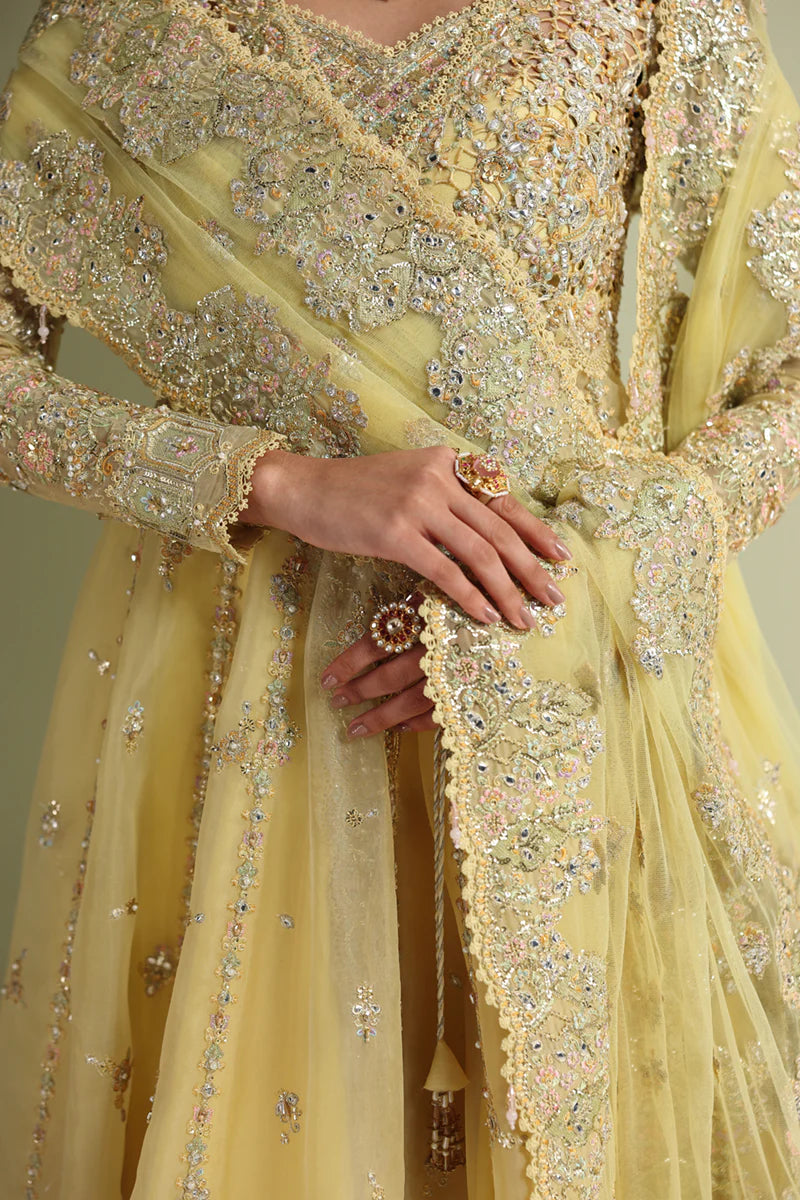 RH - 06 - HOOR | Qalamkar |Shadmani Wedding Formals Collection 2025