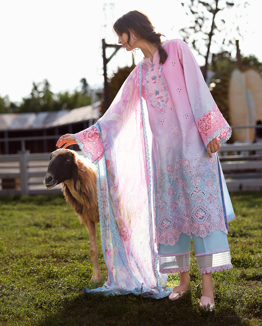 Faint Blossom | Mushq | Solace Ombre Chikankari Collection 2026