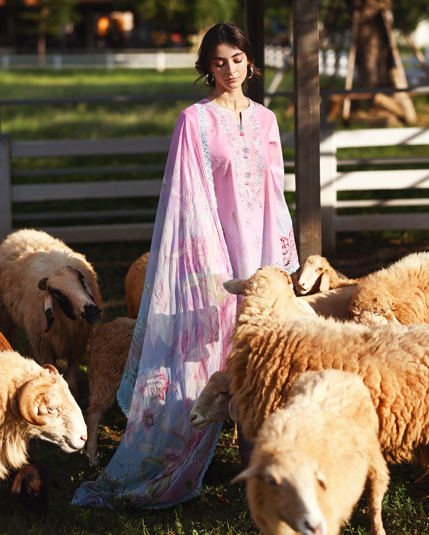Faint Blossom | Mushq | Solace Ombre Chikankari Collection 2026