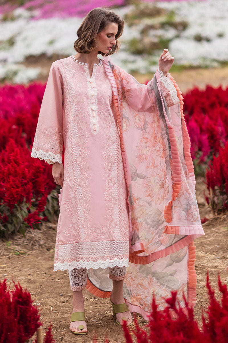 ROSEWOOD | Mushq | Hemline The Secret Garden Luxury Lawn 2024