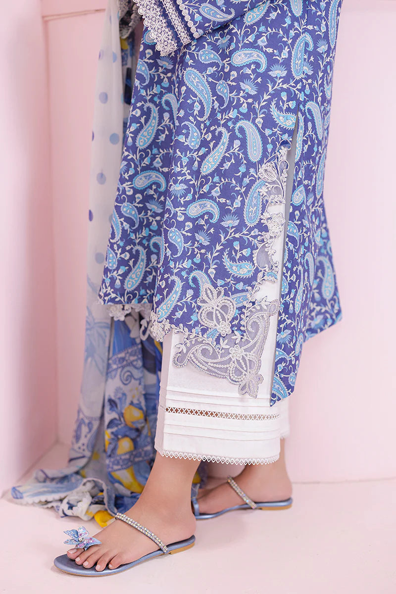 EM-10 (A) RILEY | Qalamkar | Qprints Lawn Volume 2 2025