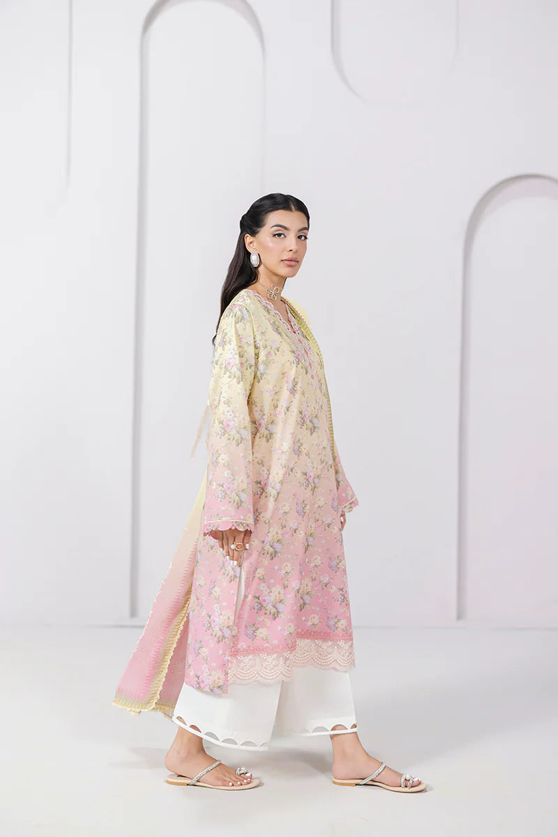 EM-08 (A) SIERRA | Qalamkar | Qprints Lawn Volume 2 2025