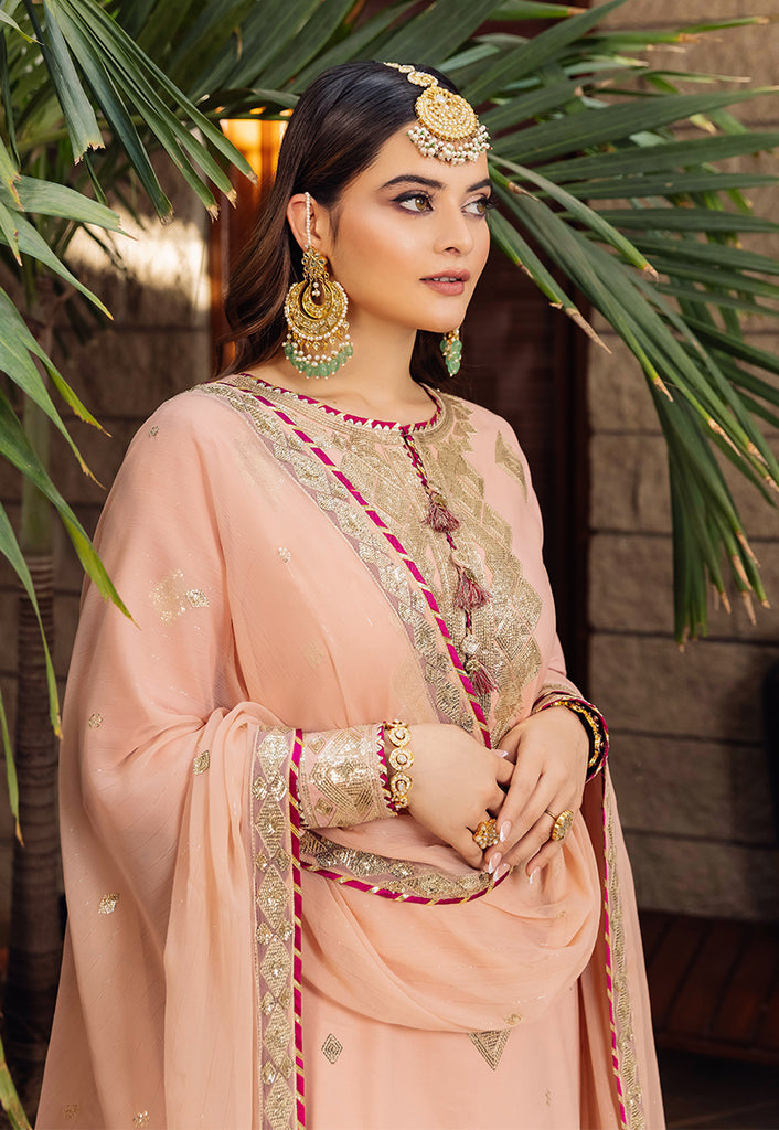 AJSM-50 | Asim Jofa | Maahru | Noorie | Meerub | Collection'23