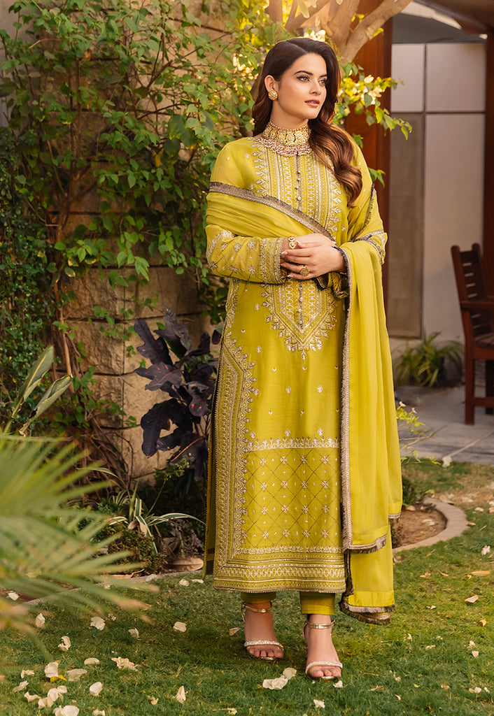 AJSM-41 | Asim Jofa | Maahru | Noorie | Meerub | Collection'23