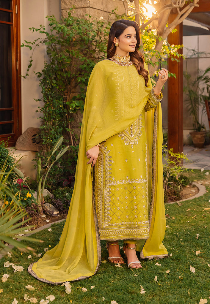 AJSM-41 | Asim Jofa | Maahru | Noorie | Meerub | Collection'23