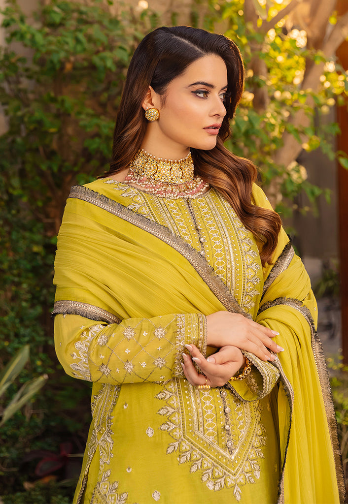 AJSM-41 | Asim Jofa | Maahru | Noorie | Meerub | Collection'23