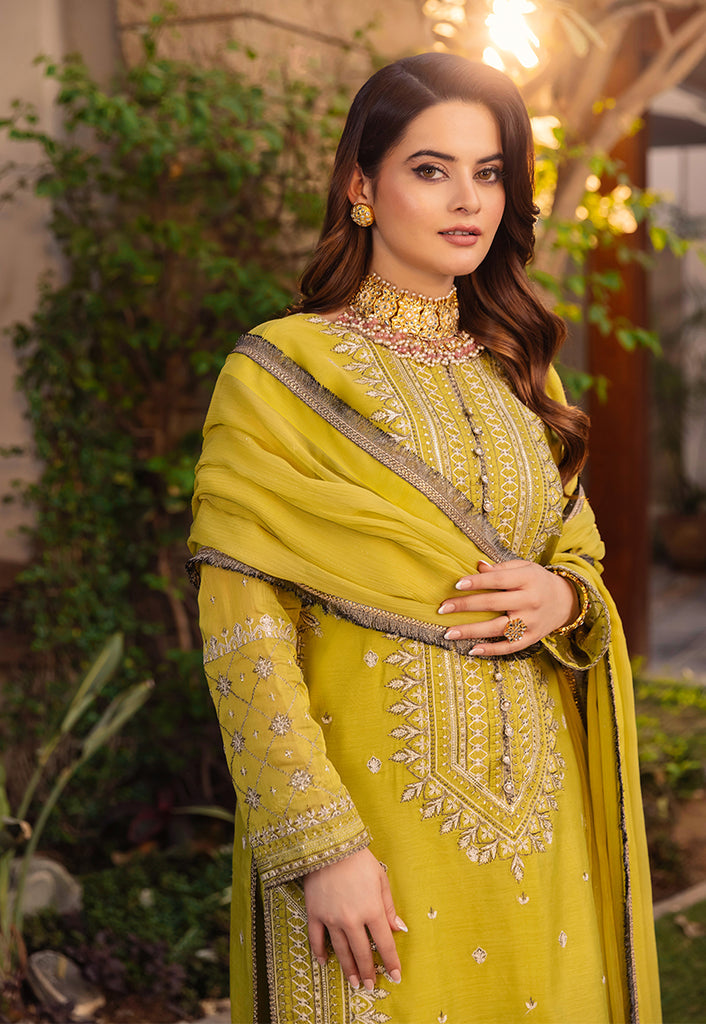 AJSM-41 | Asim Jofa | Maahru | Noorie | Meerub | Collection'23
