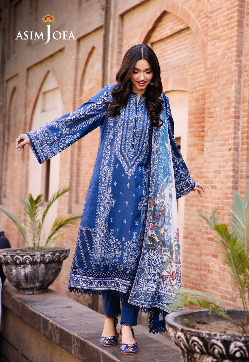 AJBB-02 | Asim Jofa | Prints 2024