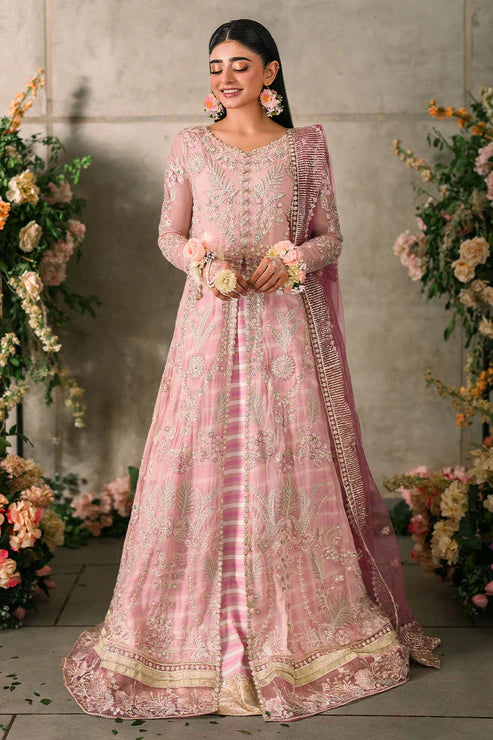 Maisha | Mushq | Mastani Wedding Collection 2024