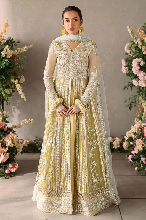 Hira | Mushq | Mastani Wedding Collection 2024