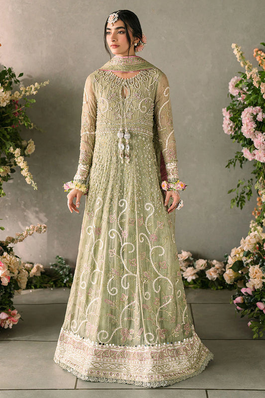 Namar | Mushq | Mastani Wedding Collection 2024